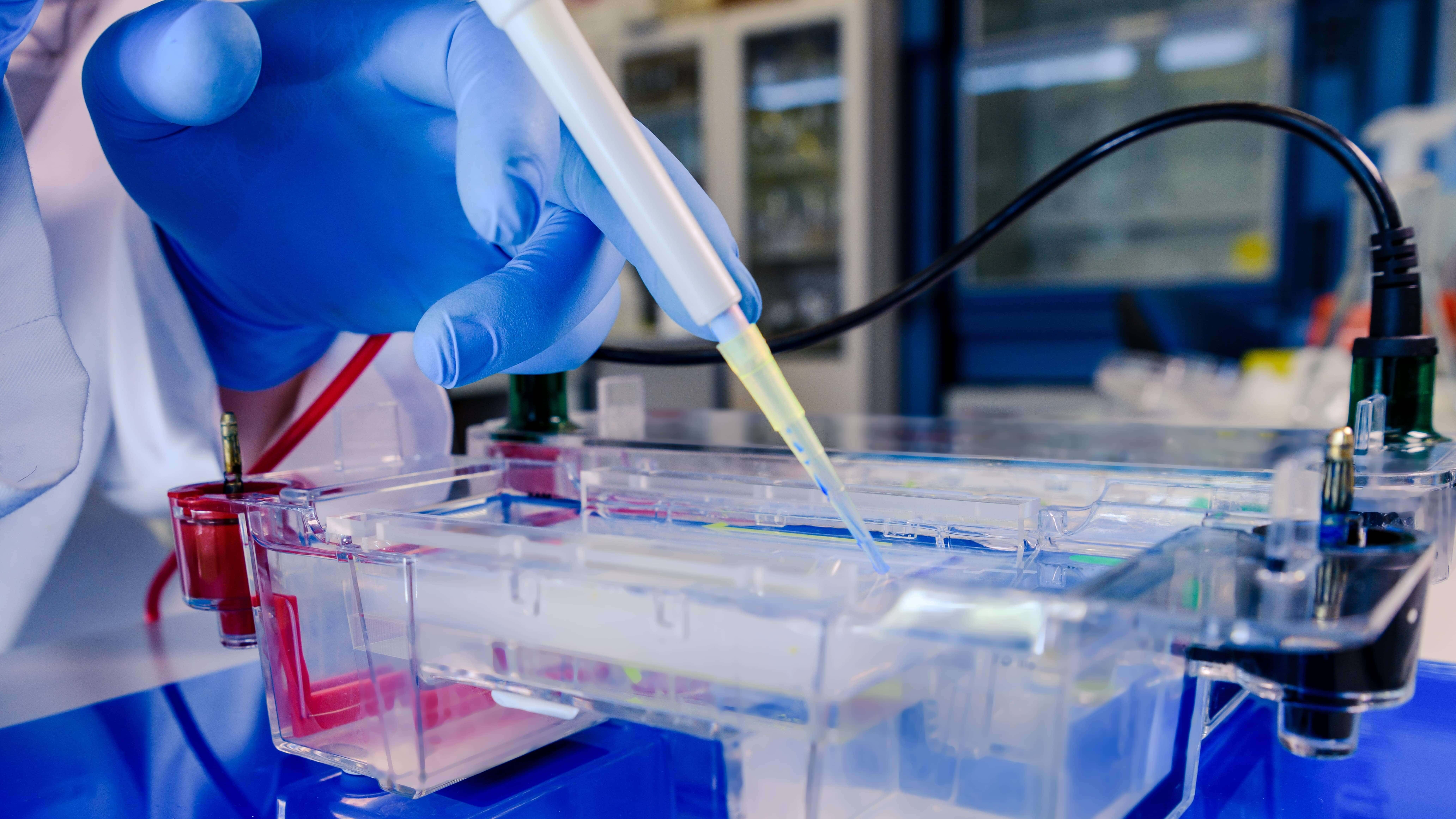 Building the future of Diagnostics and HealthCare