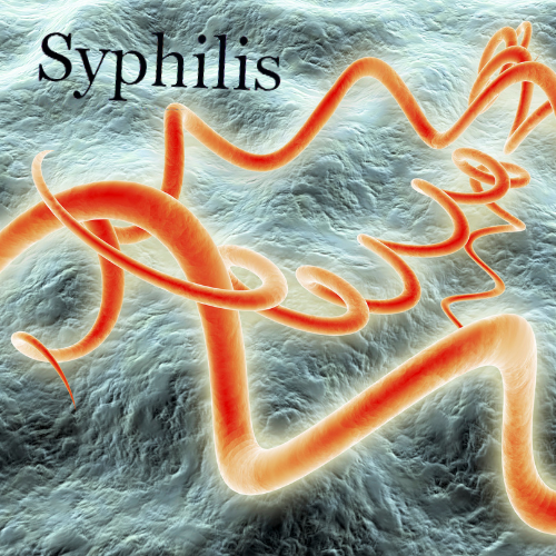 Syphilis Antibodies